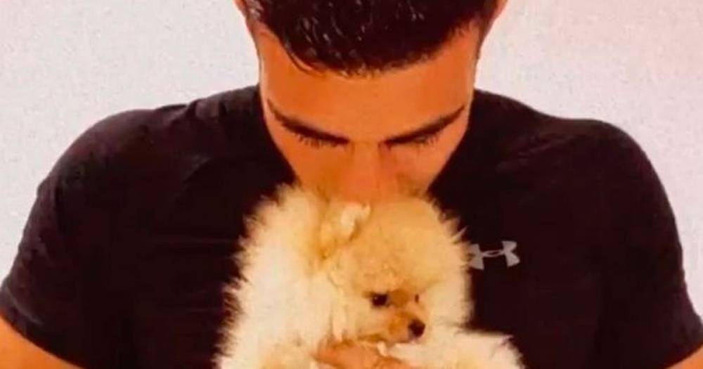 Tommy Fury under fire for buying Molly-Mae Hague's puppy from Russia for her birthday - www.manchestereveningnews.co.uk - Manchester - Russia - Hague
