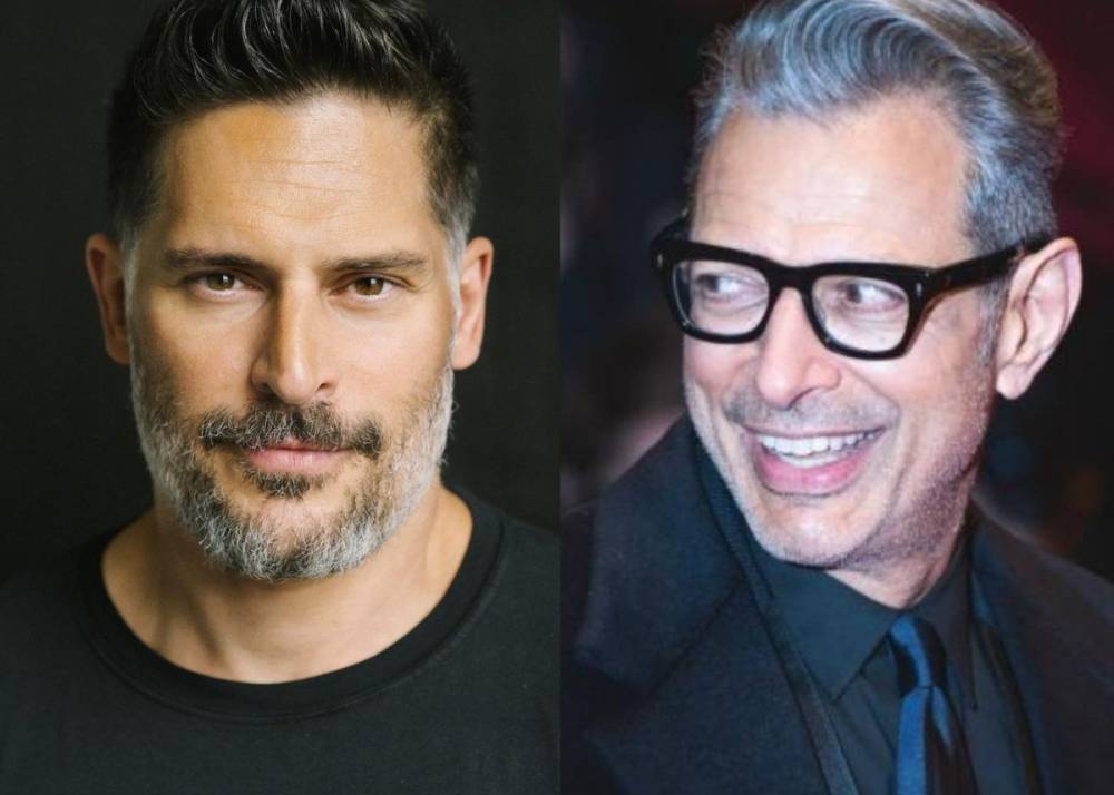 Joe Manganiello, Jeff Goldblum, Ming-Na Wen, And Gillian Jacobs Team Up For Jackbox Games Virtual Game Night For Covid-19 Relief - celebrityinsider.org