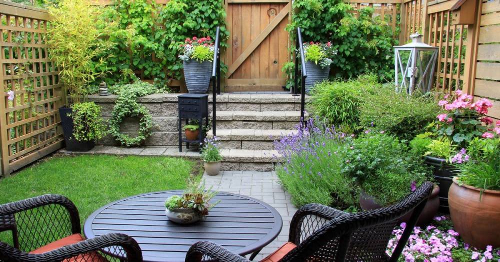 The daily half hour tasks that will have your garden spruced up in a month - www.manchestereveningnews.co.uk - Britain