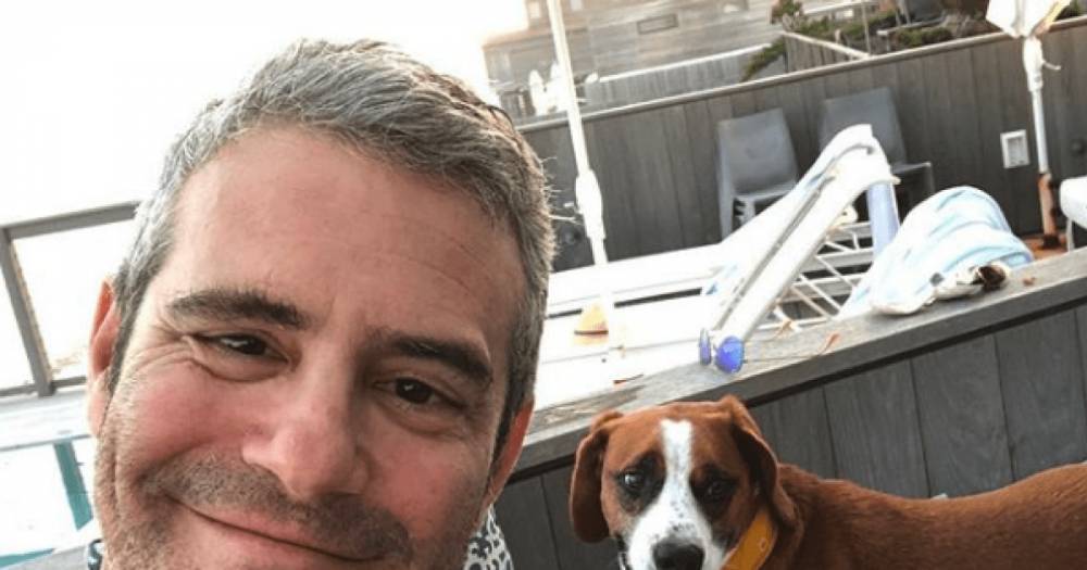 Andy Cohen reveals he re-homed his dog after 'incident' - www.wonderwall.com