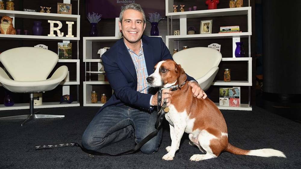 Andy Cohen Rehomes His Dog Wacha Due to Aggression - www.etonline.com - state West Virginia