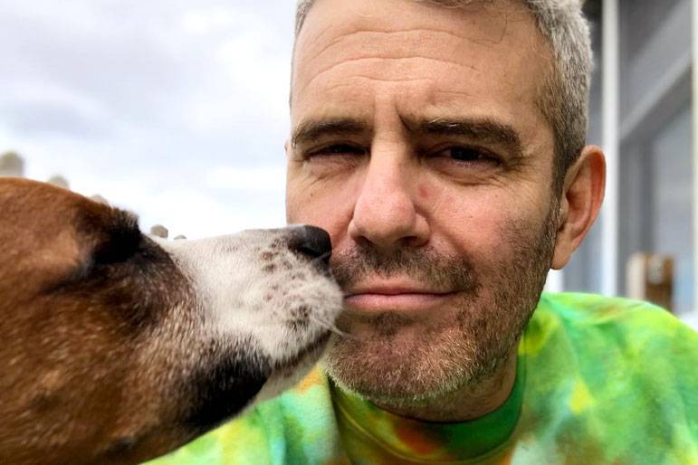 Andy Cohen Confirms Wacha Is Living with a New Family - www.bravotv.com
