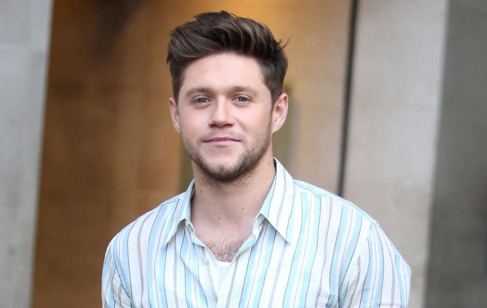 Inside Celebrity Homes: Niall Horan’s music and sun-filled pad - evoke.ie - London