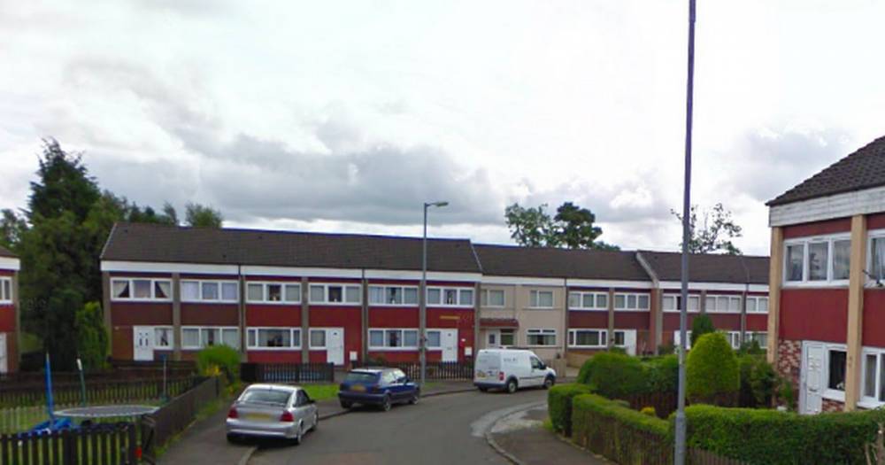Young family threatened with weapons as gang of masked thugs break in to Wishaw home and attempt to set car alight - www.dailyrecord.co.uk