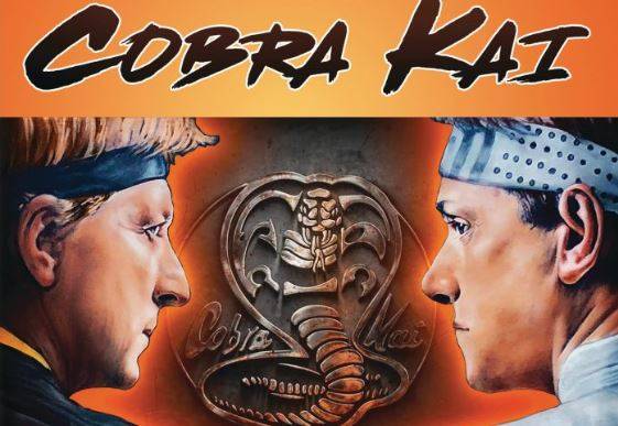 ‘The Karate Kid’ spin-off ‘Cobra Kai’ on DVD - www.thehollywoodnews.com