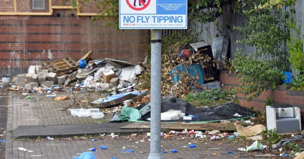 'Open the Scottish dumps' call by Lib Dems as fly-tipping wrecks countryside - www.dailyrecord.co.uk - Scotland