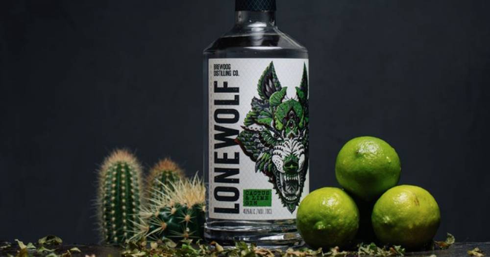 Brewdog release new premium gin – and it's flavoured with cactus and lime - www.ok.co.uk - Britain - Mexico
