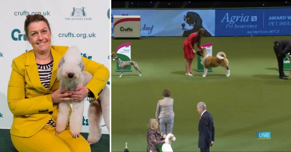 Kilmarnock puppy takes top dog breed prize at Crufts - www.dailyrecord.co.uk - Birmingham