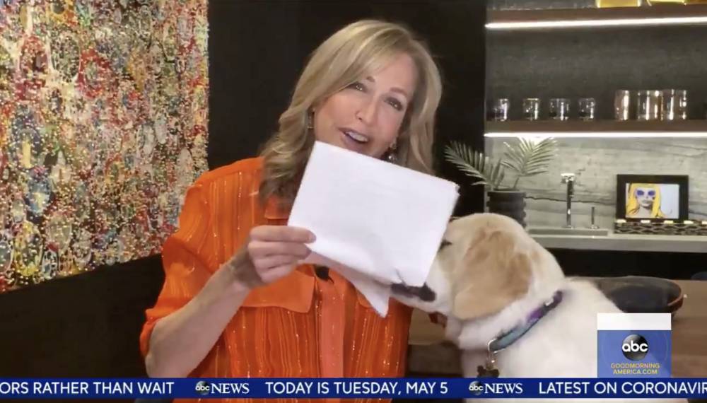 Lara Spencer’s Dog Eats Her Script Live On ‘Good Morning America’ - etcanada.com