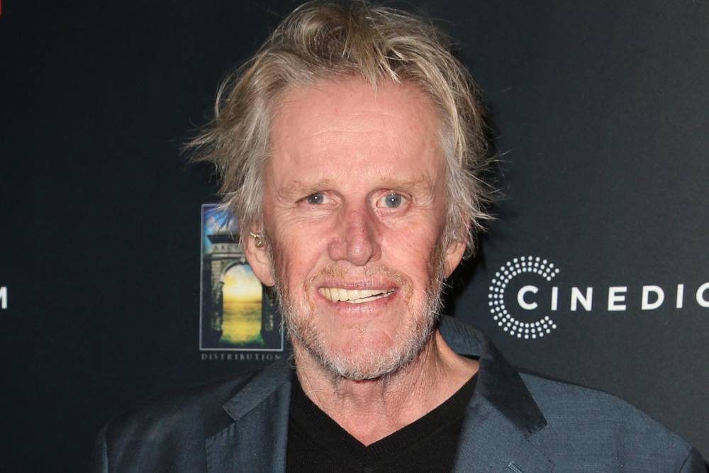 Gary Busey to play Pet Judge on TV - www.hollywood.com