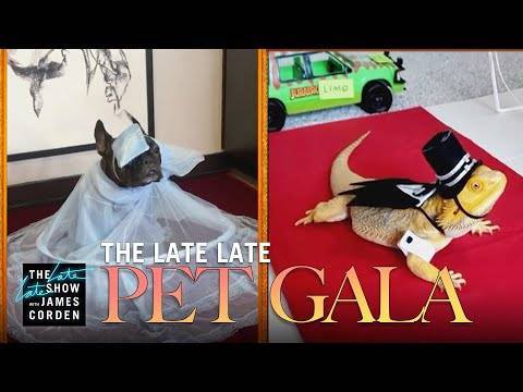 James Corden’s Virtual ‘Pet Gala’ Is So Purrfect You Won’t Even Miss The Real Red Carpet! - perezhilton.com