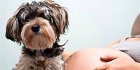 Mum's baby name is slammed by her family as a 'dog's name' - but is it that bad? - www.lifestyle.com.au