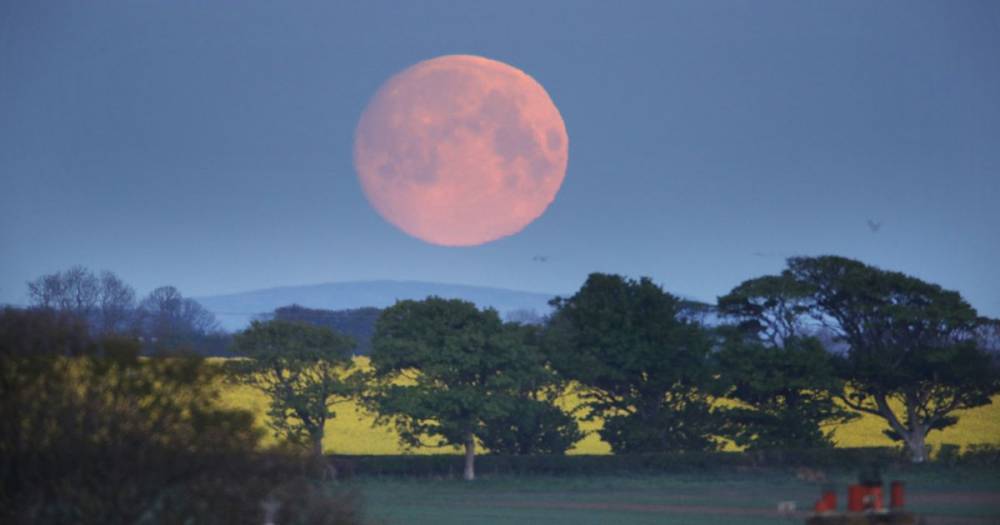 Flower Supermoon visible from Scotland this week - here's how to catch a glimpse - www.dailyrecord.co.uk - Scotland