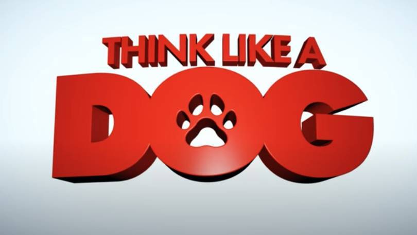 ‘Think Like A Dog’ trailer hits with Josh Duhamel Megan Fox - www.thehollywoodnews.com