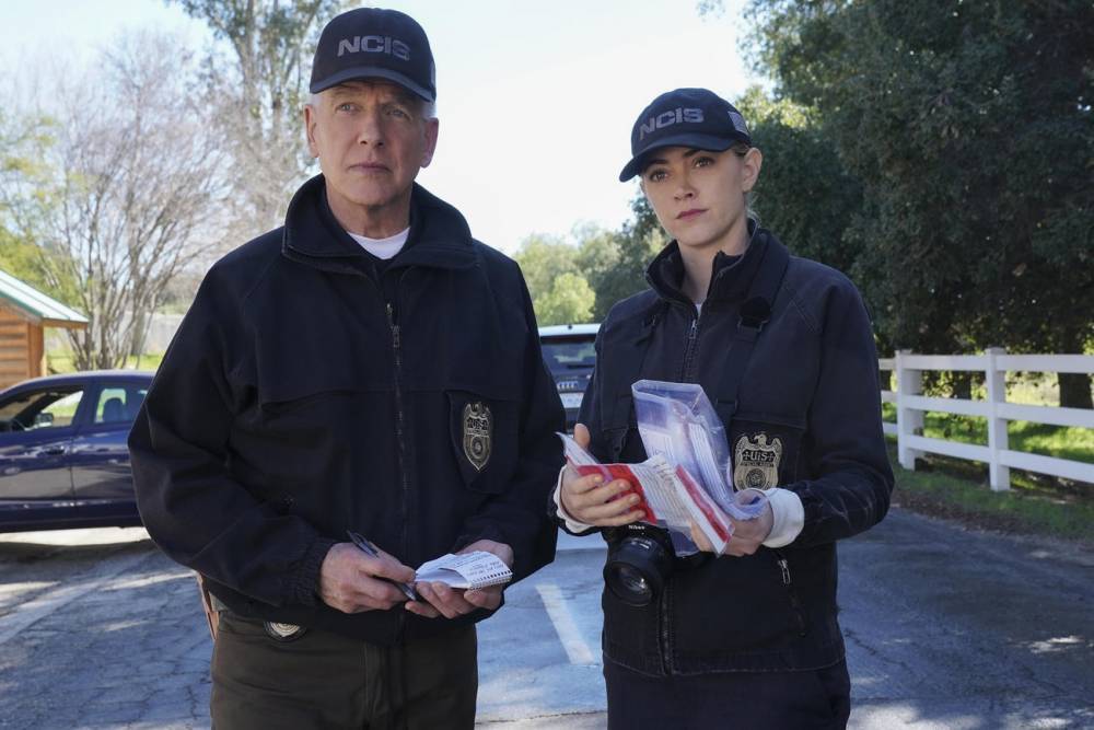 NCIS, NCIS: Los Angeles, and NCIS: New Orleans All Renewed at CBS - www.tvguide.com - Los Angeles - Los Angeles - New Orleans - parish Orleans