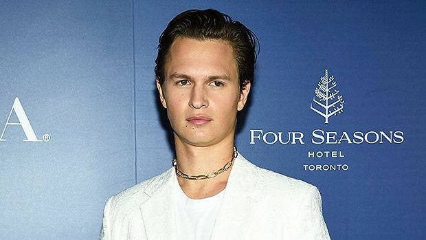 Ansel Elgort Drags A Harry Styles Fan On Twitter: ‘People Are Legitimately Crazy’ - hollywoodlife.com