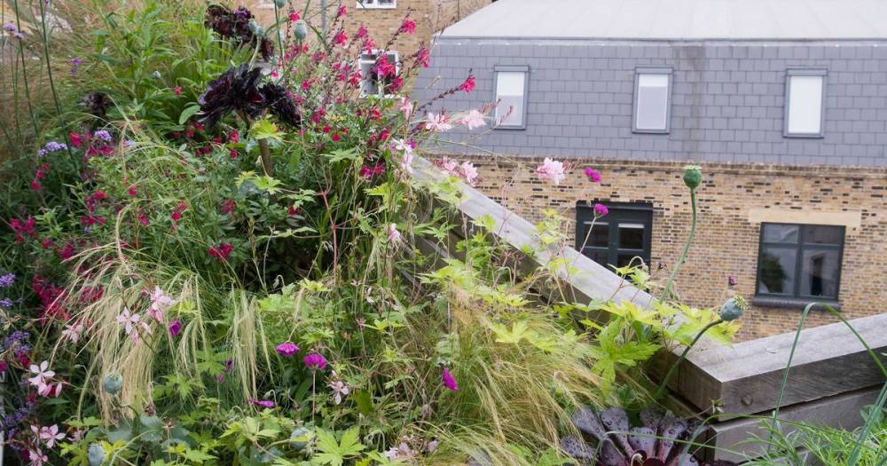 Ideas and tips for making a beautiful garden on your balcony - www.manchestereveningnews.co.uk