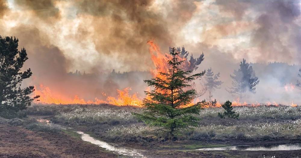 Wildfires in West Lothian after heatwave cause concern - www.dailyrecord.co.uk - Scotland