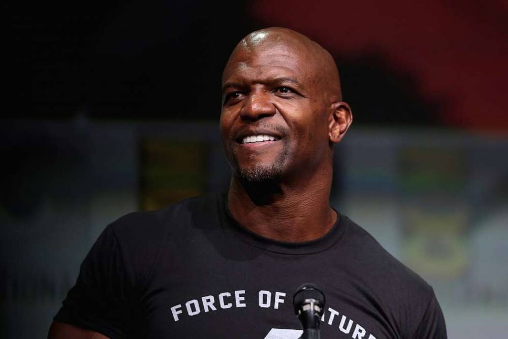 Terry Crews Says That The Recent BLM Protests Will Affect Brooklyn Nine-Nine - celebrityinsider.org