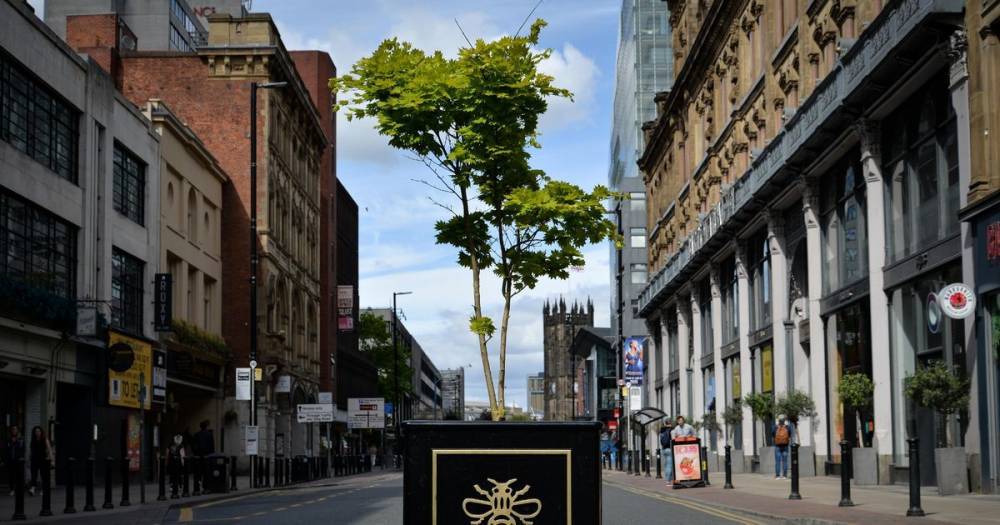 The £600k plans to transform parts of Manchester into pedestrian and cycle zones - www.manchestereveningnews.co.uk - Manchester