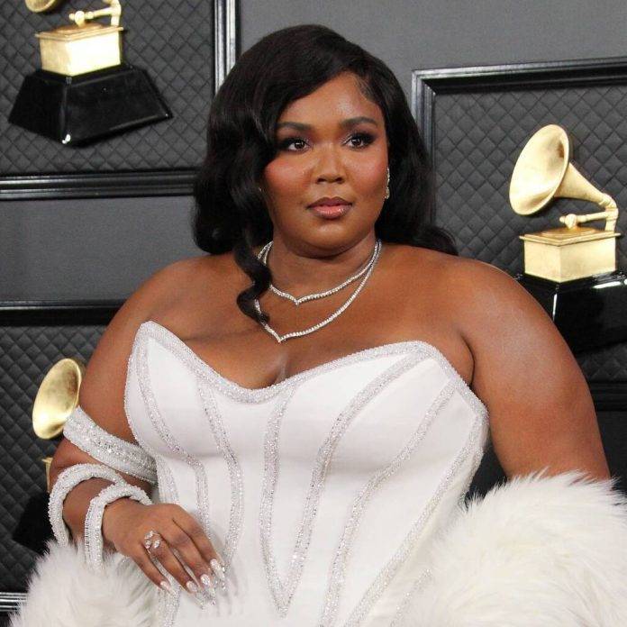 Lizzo: ‘Critical comments prove I’m doing what I’m supposed to be doing’ - www.peoplemagazine.co.za
