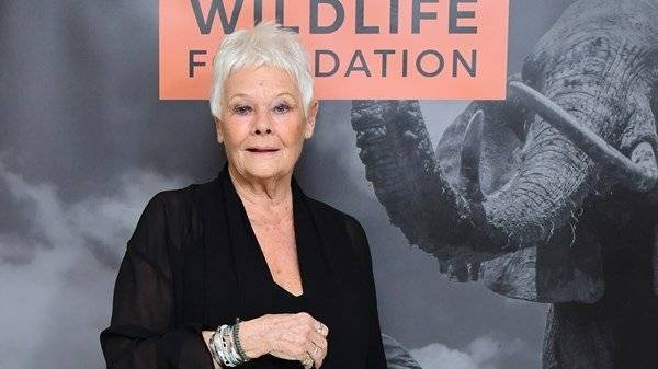 Dame Judi Dench: I’m not allowed any time off from TikTok rehearsals - www.breakingnews.ie