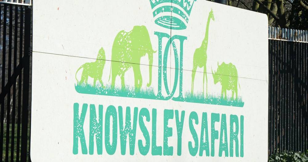 Knowsley Safari Park announces reopening date - how to get tickets and the new rules - www.manchestereveningnews.co.uk