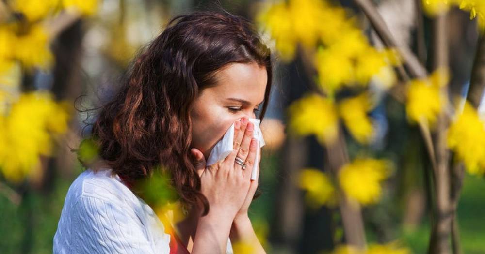 Drivers warned to check hay fever medication - www.dailyrecord.co.uk - Britain