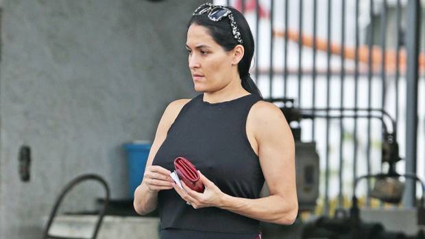6 Times Nikki Bella Proudly Showed Off Her Baby Bump In Lingerie More - hollywoodlife.com
