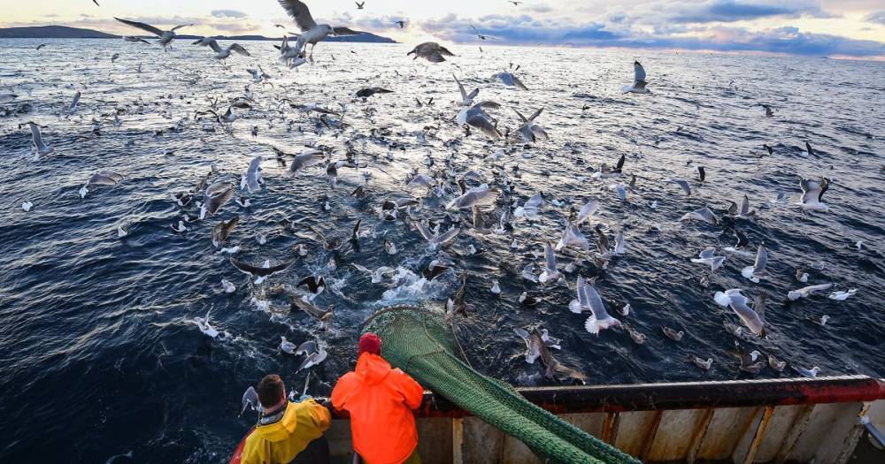 Scottish fishing fleet should expect blockades under Brexit, say industry leaders - www.dailyrecord.co.uk - Britain - Scotland