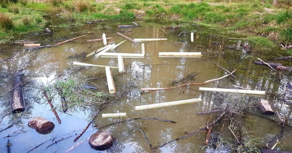 Vandals cause thousands of pounds worth of damage at East Kilbride woodlands - www.dailyrecord.co.uk