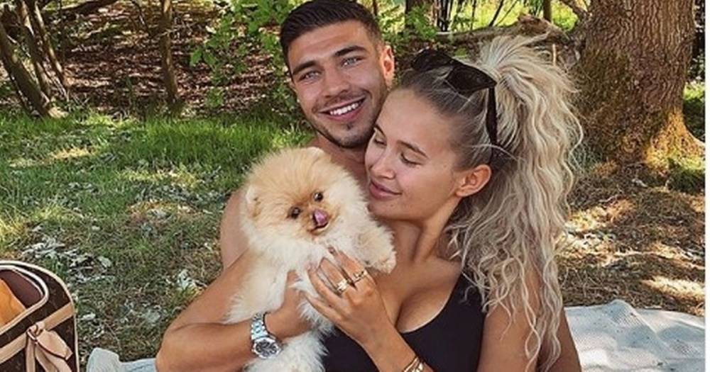 Love Island's Molly-Mae Hague and Tommy Fury 'heartbroken' after new Pomeranian puppy dies just six days after getting him - www.dailyrecord.co.uk - Hague
