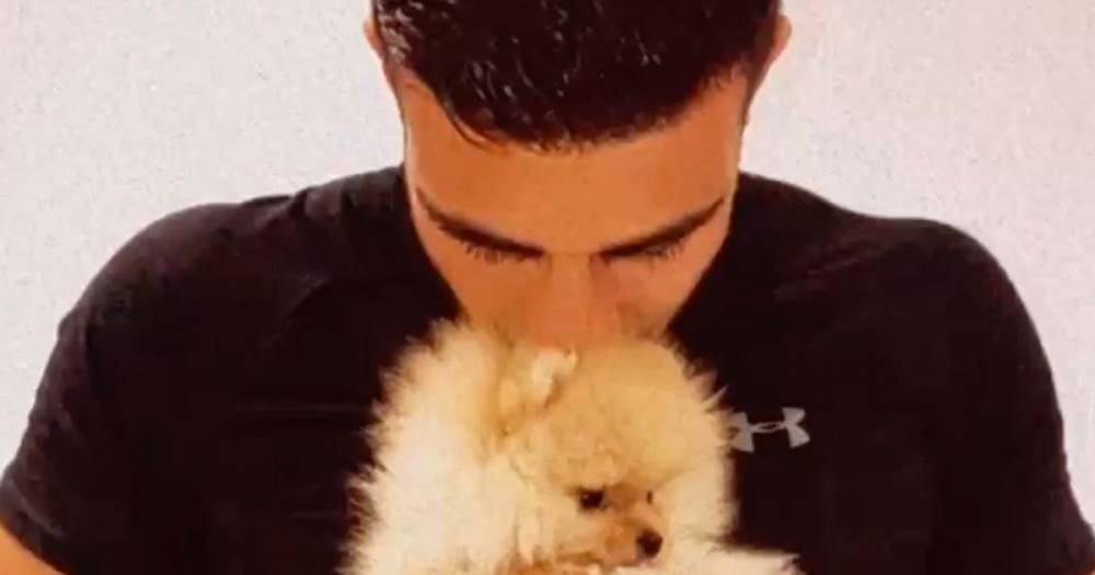 Tommy Fury 'truly devastated' as he breaks silence on the death of his and Molly-Mae Hague's puppy after having him for six days - www.ok.co.uk - Manchester - Russia - Hague