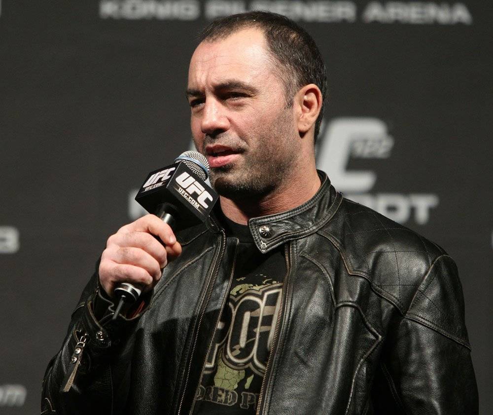 Joe Rogan Questions The Idea Of Agent Provocateurs Who Break Windows And Loot Stores Amid BLM Protests - celebrityinsider.org