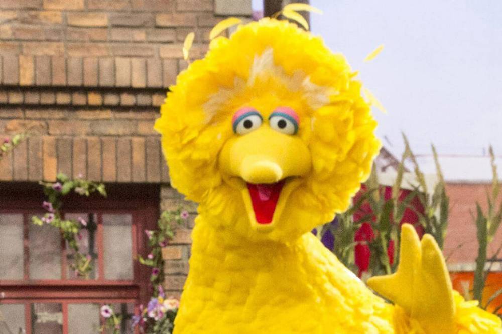 Sesame Street and CNN Team Up for a Town Hall About Racism - www.tvguide.com - county Hall