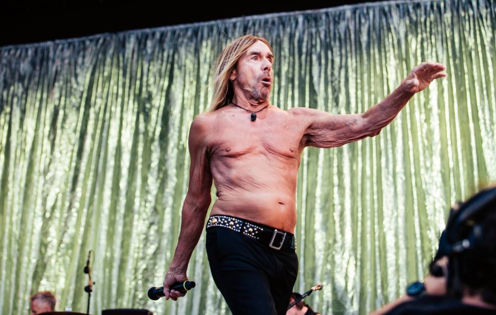 Iggy Pop calls for protection of big cats in Florida - www.nme.com - Florida