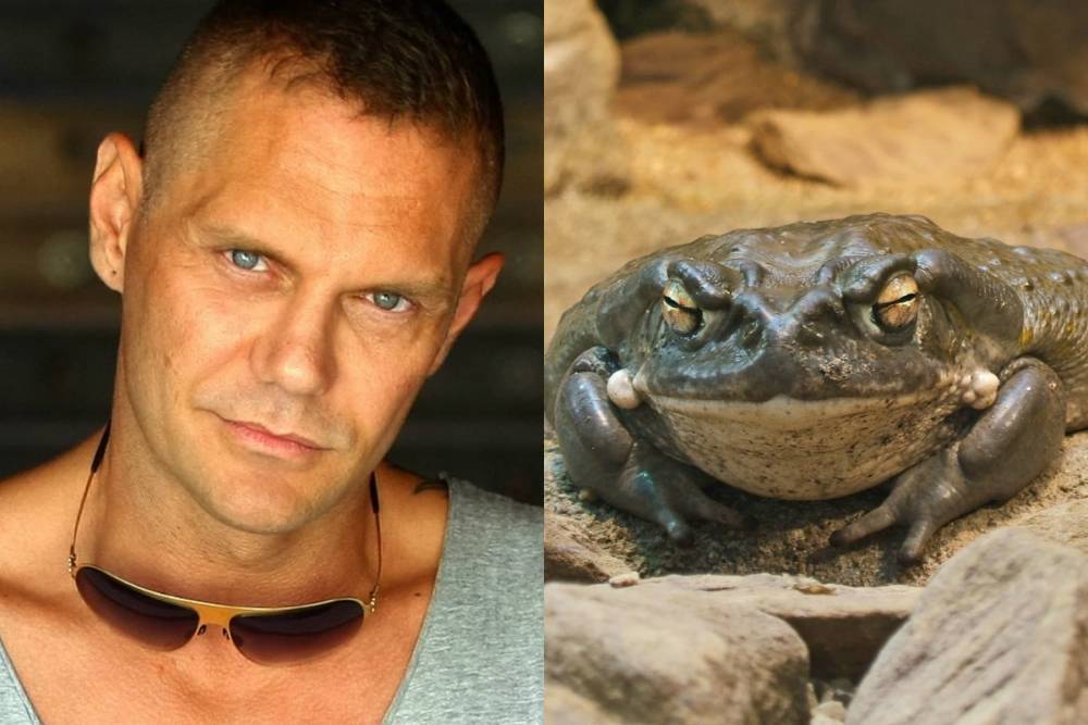 Spanish porn star arrested after man’s death during toad venom ritual - www.metroweekly.com - Spain - Colorado