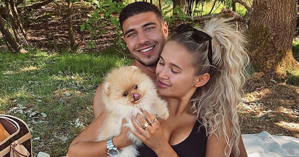 Celebrity vet demands probe into death of Molly-Mae Hague and Tommy Fury's puppy Mr Chai - www.ok.co.uk - Russia - Hague