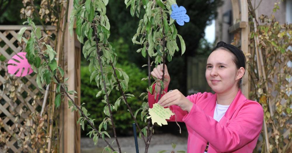 Residents asked to share their hopes for the region on new wishing tree - www.dailyrecord.co.uk