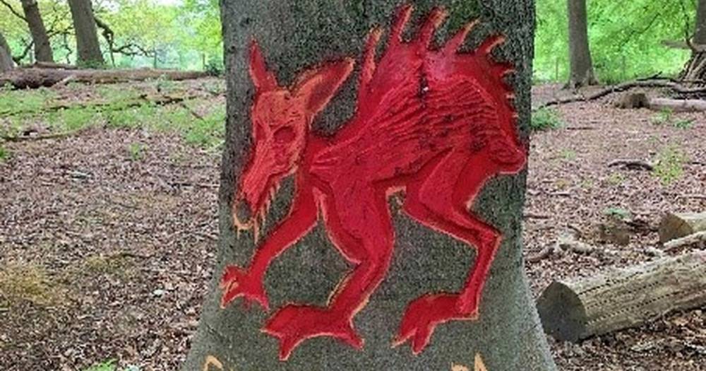 Woodland artist labelled "criminal" by Dalzell Estate locals - www.dailyrecord.co.uk