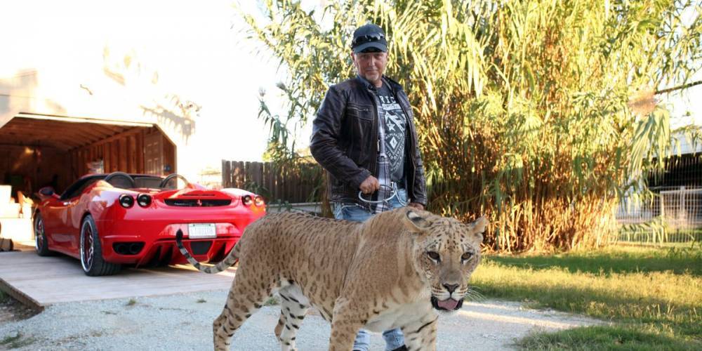 Tiger King's Jeff Lowe Has "Signed [on] for a Reality TV Show" About His New Zoo - www.cosmopolitan.com