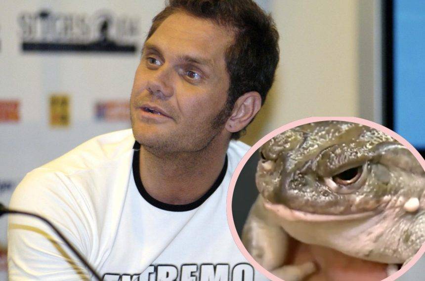 Spanish Porn Star Arrested For Manslaughter After Psychedelic Toad Ritual Goes Wrong! …HUH??? - perezhilton.com - Spain