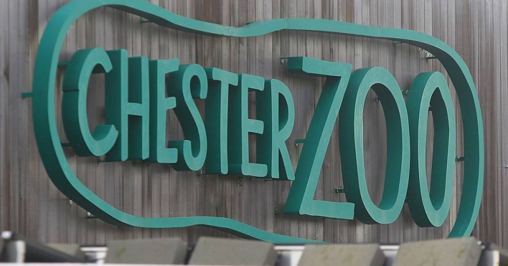 Chester Zoo issues message of 'renewed hope' as fundraiser to save it gains £2m - www.manchestereveningnews.co.uk