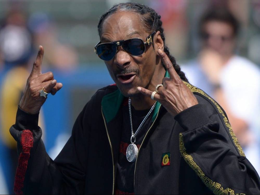 'I'M A FRONT-LINER': Snoop Dogg vows to vote for first time in 2020 election - torontosun.com - New York