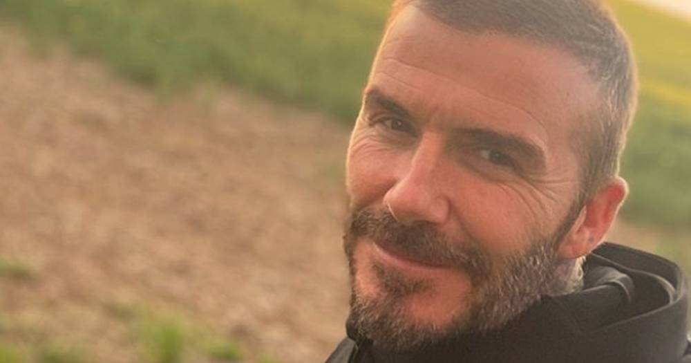 David Beckham ‘in talks with Netflix and BBC for cooking show’ after ‘seeking advice from Gordon Ramsay’ - www.ok.co.uk