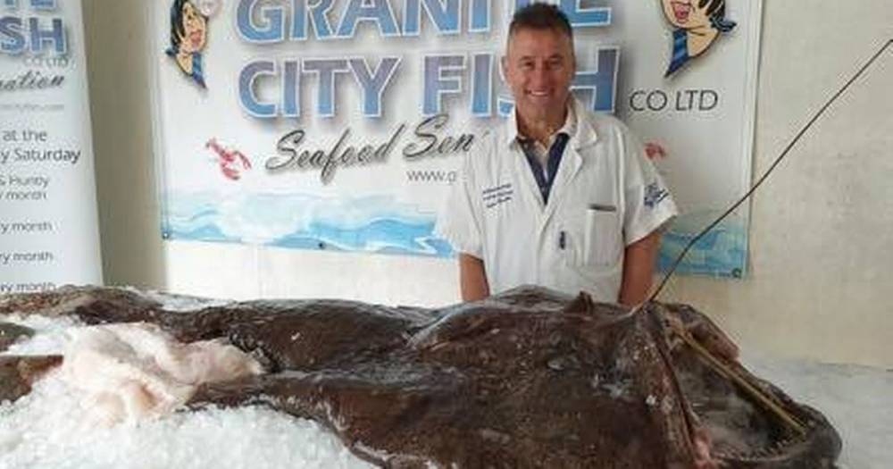 Scots fishmonger reveals massive monkfish that weighs nearly NINE STONES and is SIX FEET long - www.dailyrecord.co.uk - Scotland - city Aberdeen