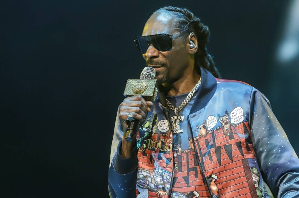 Snoop Dogg Plans To Vote For The First Time In 2020 - celebrityinsider.org