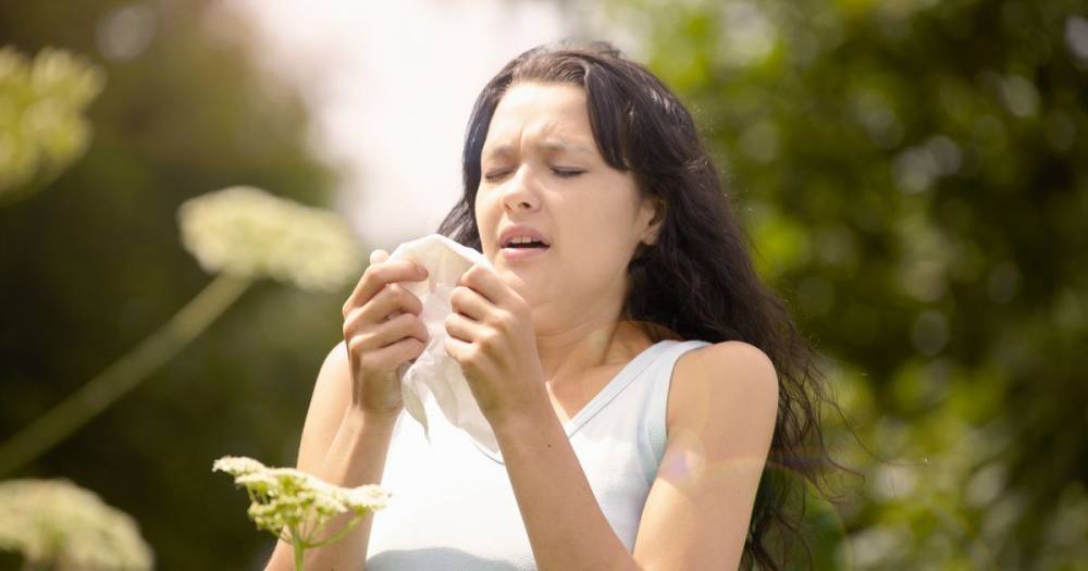 Seven tips for Scots on managing hay fever symptoms as experts warn of pollen bomb - www.dailyrecord.co.uk - Scotland