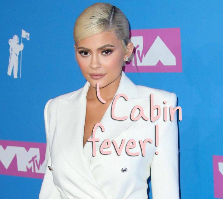 Kylie Jenner Ignores Social Distancing Guidelines For A Night Out At The Club! WTF, Girl?! - perezhilton.com - California