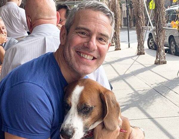 Andy Cohen Gives an Update on Beloved Dog Wacha Following Rehoming - www.eonline.com - Los Angeles - state Connecticut